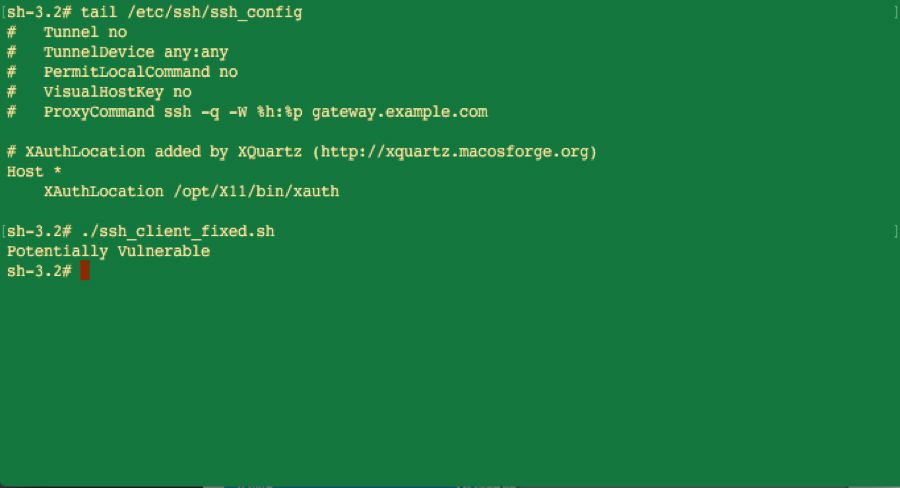 Terminalausgabe mit den Ergebnissen der Überprüfung der SSH-Konfiguration und der Erkennung von Sicherheitslücken
