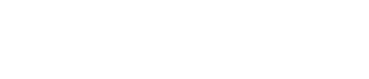 endpointX-Logo in Weiß ohne Abstand