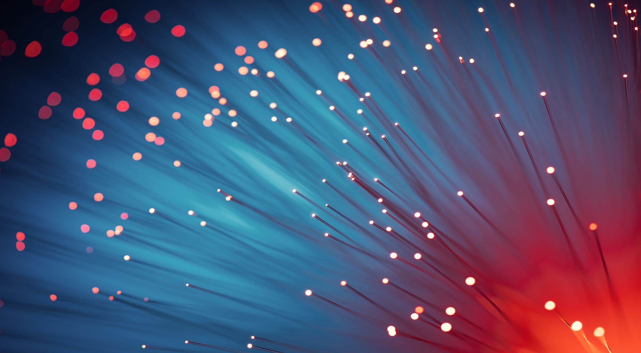 Universal Broadband Must Include Cyber Hygiene Practices