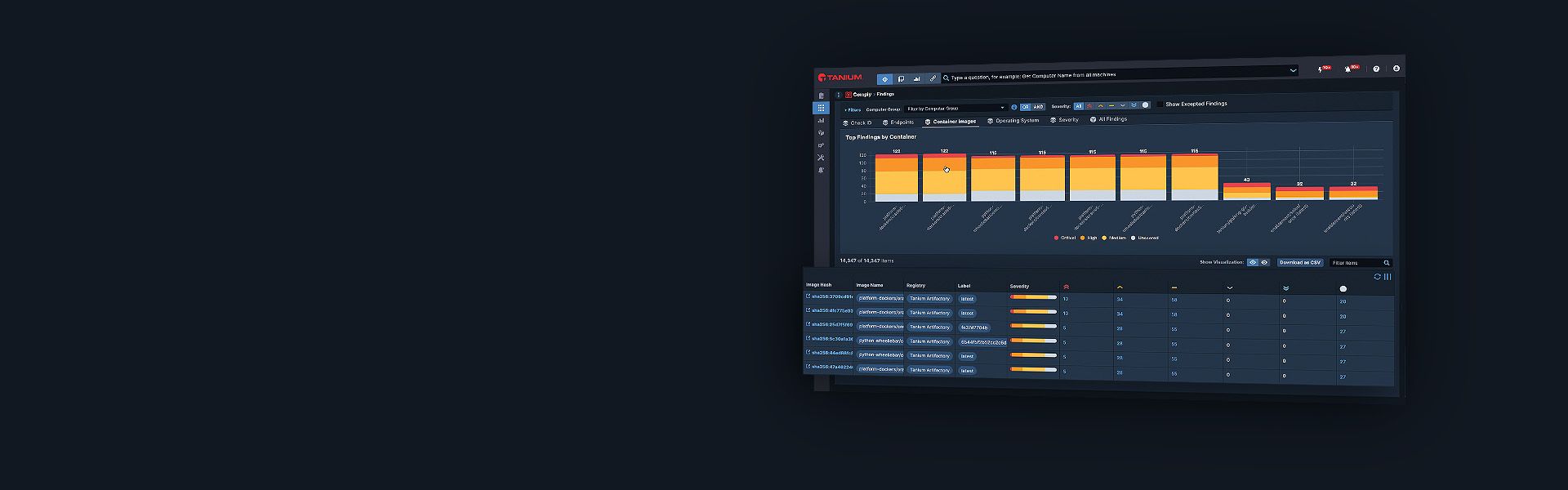 Mockup des Tanium Cloud Workloads Hero-Dashboards mit Container-Schwachstellendaten