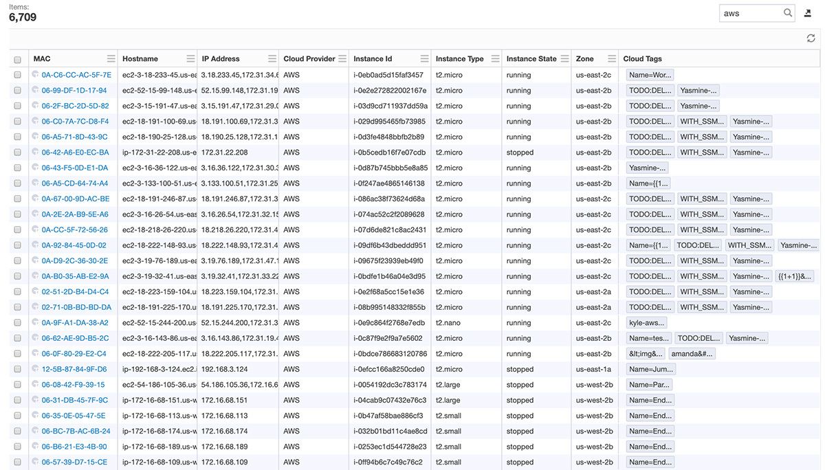 Screenshot von Tanium Discover, der eine Tabelle mit 6 709 erkannten Endpunkten samt MAC-Adressen, Hostnamen, Cloud-Anbietern und Instanzdetails zeigt