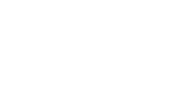 CDW-Logo in Weiß