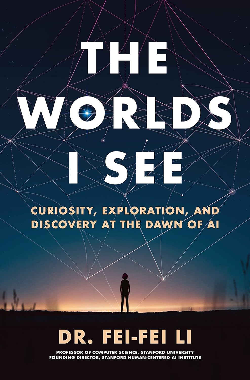 Das Buchcover von „The Worlds I See“, auf dem die Silhouette einer Frau zu sehen ist, die in der Morgendämmerung weit entfernt auf einer flachen Ebene steht.