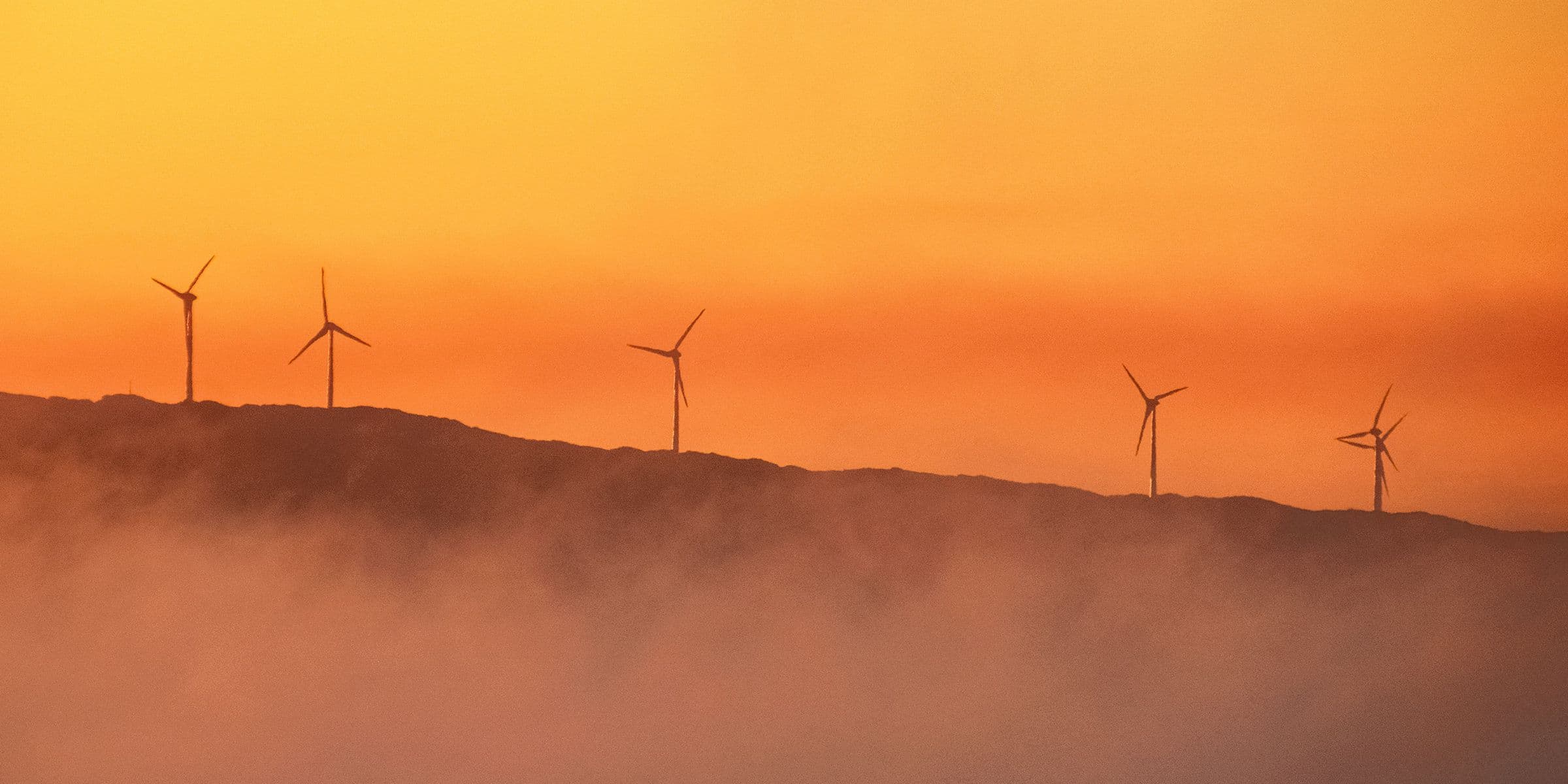 Cybersicherheit und Klimawandel: Die doppelte Herausforderung für CIOs in der Energiebranche