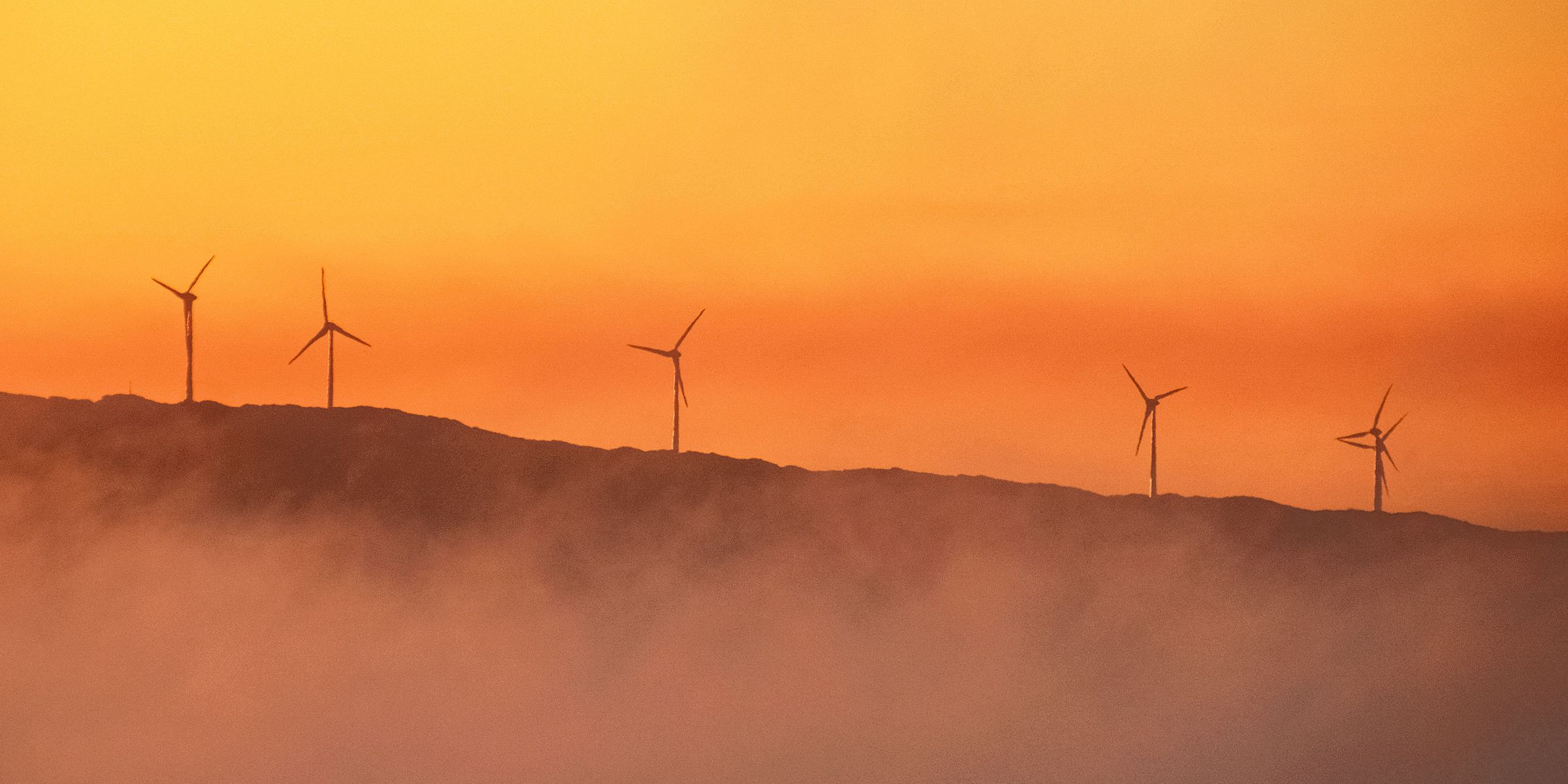Cybersicherheit und Klimawandel: Die doppelte Herausforderung für CIOs in der Energiebranche