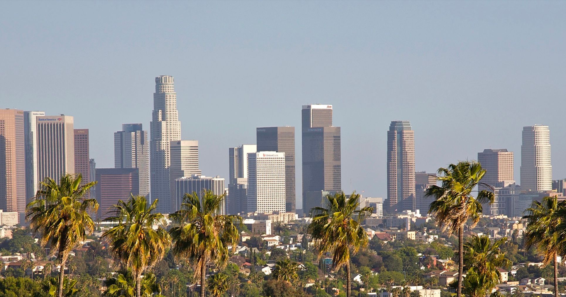 Foto einer Reihe von Palmen mit der Skyline der Innenstadt von Los Angeles in der Ferne.