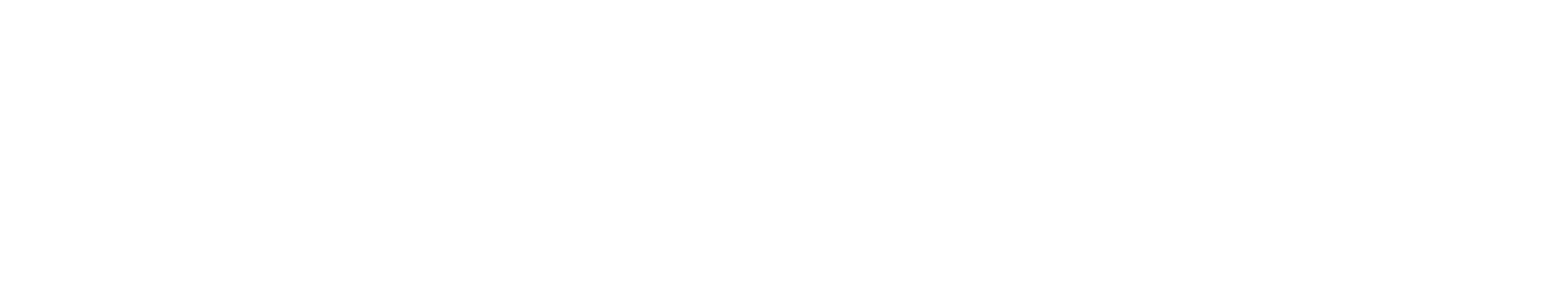 Avantage weißes Logo