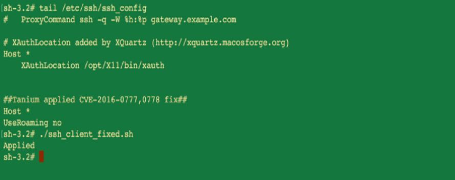 Terminalausgabe, die die erfolgreiche Behebung einer OpenSSH-Sicherheitslücke mit Bestätigungsnachweis zeigt